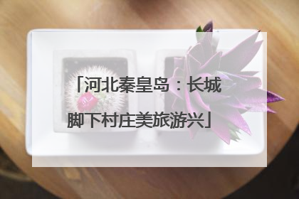 河北秦皇岛：长城脚下村庄美旅游兴